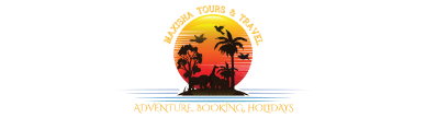 Tour & Travel Logo